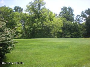 000 Brian 23, Murphysboro, IL 62966